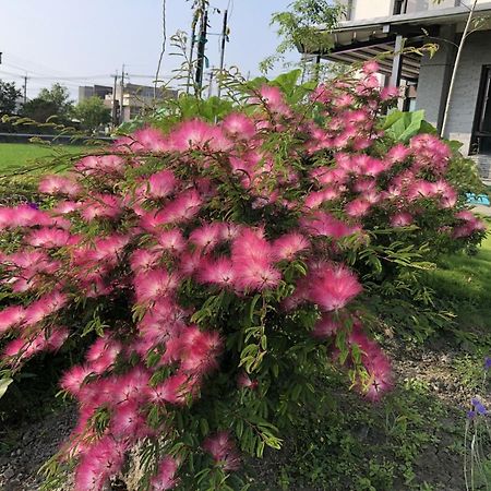 Early Summer Luodong Buitenkant foto
