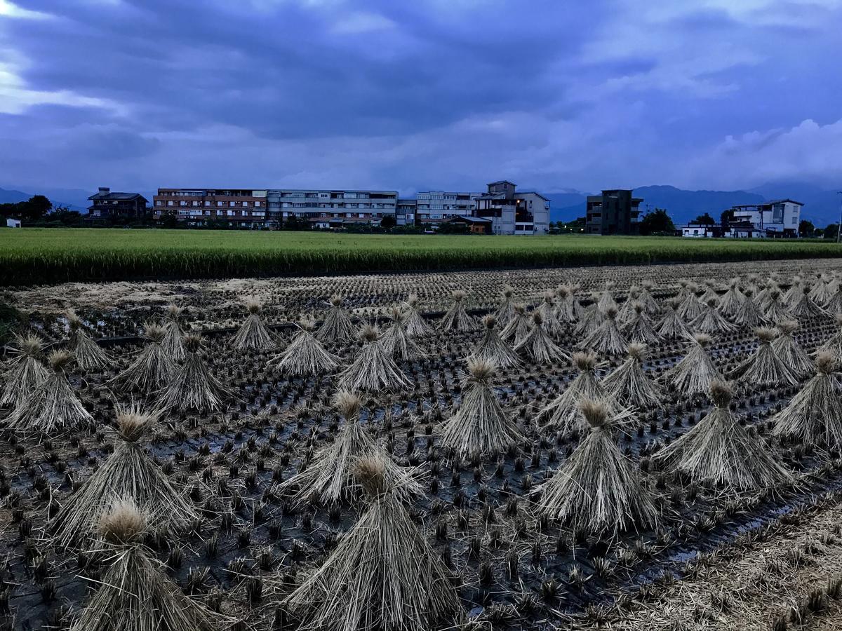 Early Summer Luodong Buitenkant foto