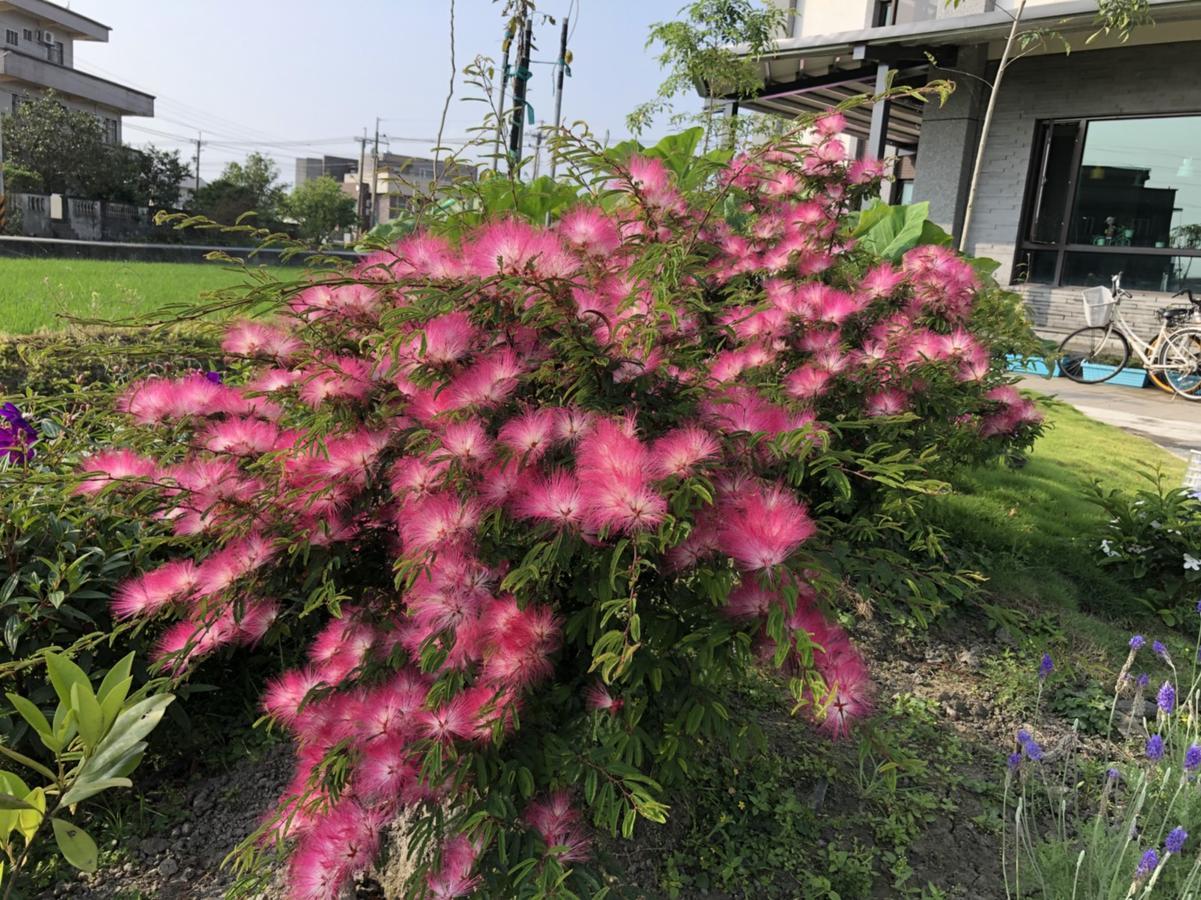 Early Summer Luodong Buitenkant foto